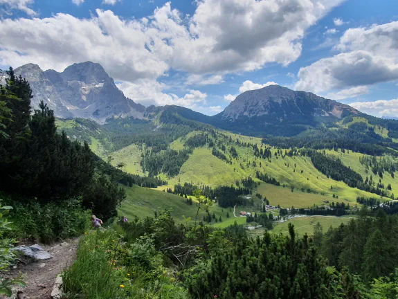 Featured image for article: Mastering Favicons Elevate Your Website's Branding Featured image for article: Mastering Favicons Elevate Your Website's Branding