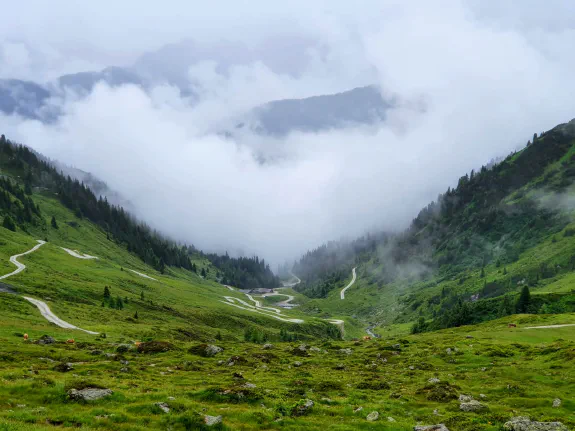 Featured image for page: Web development services Featured image for page: Web development services